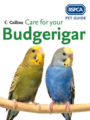 Care for your Budgerigar - ebook